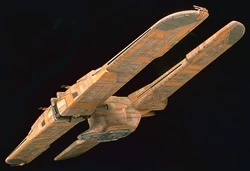 C 9979.jpg
