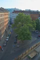 2568242686 4266c3dac0 b.jpg