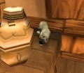 Fuzz.jpg