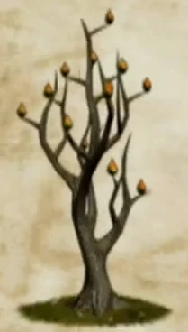 Fire Seed Bush.jpg