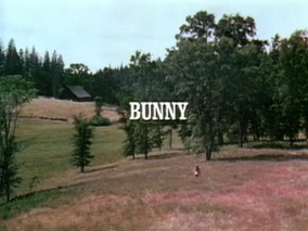 Title.bunny