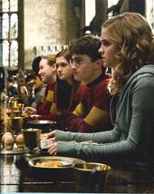 Normal reactiontoquidditchron