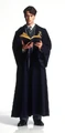 Tom Marvolo Riddle.JPG