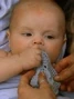Mini-aaron.jpg