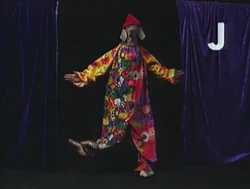 Wegman-jester