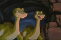 Rocky & Dusty.jpg