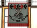Martial arts3.jpg