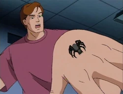 Spider-Bite