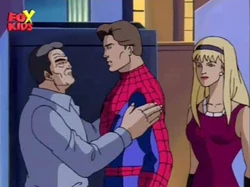 Spider-Paradise