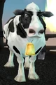 Bess.jpg
