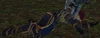 Impaled Valgarde Scout