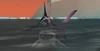 Great Reef Shark