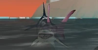 Great Reef Shark