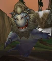 Reef Bull.jpg