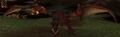 Tamed Proto-Whelp.jpg