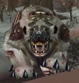 Rabid Grizzly.jpg