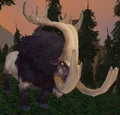 Shoveltusk Calf.jpg