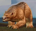 Rabid Brown Bear.jpg