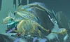 Reconstructed Wyrm