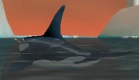 Orca