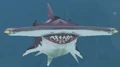 Daggercap Hammerhead.jpg