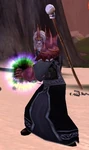 Frigid Necromancer Attacker