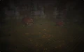 Havenshire Farms.jpg