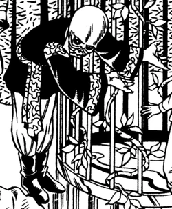 Bithabus