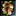 Damiana Icon