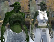 Race troll