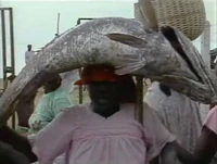 AfricanFish.jpg