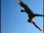 S2e18-flip