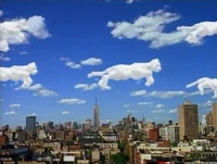 Catclouds.jpg