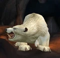 Orsonn.jpg