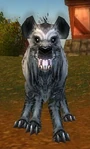 Scarlet Farm Hound