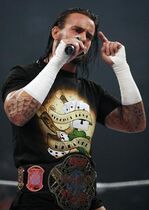 Punk3