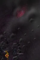 The Dark Spiral Live
