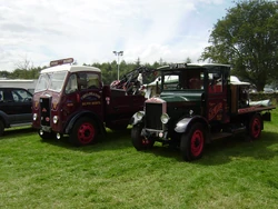 Albion trucks at a show
