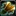 Inv mace 61