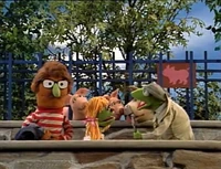 News-ZooAnimals.jpg