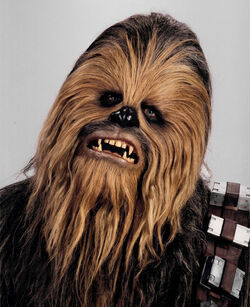 250px-Chewbaccaheadshot.jpg