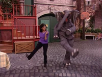 Action elephant maria.jpg