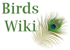 This user is a Birds Wiki administrator.