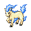 Ponyta RZ variocolor