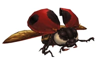 Ladybugcat.jpg