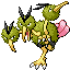 Dodrio RZ variocolor