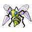 BeedrillRFVH variocolor