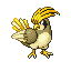 Pidgeotto RZ variocolor