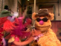 Donknottsanimal