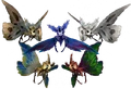 Moths.png